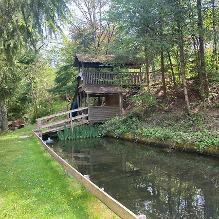 Hotel-Restaurant Theis-Muehle Biersdorf am See Exterior photo